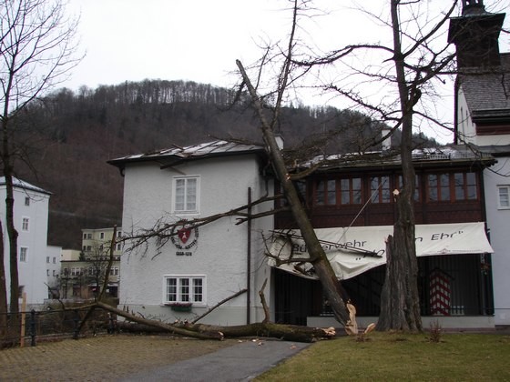 sturmschaden_27012008_01