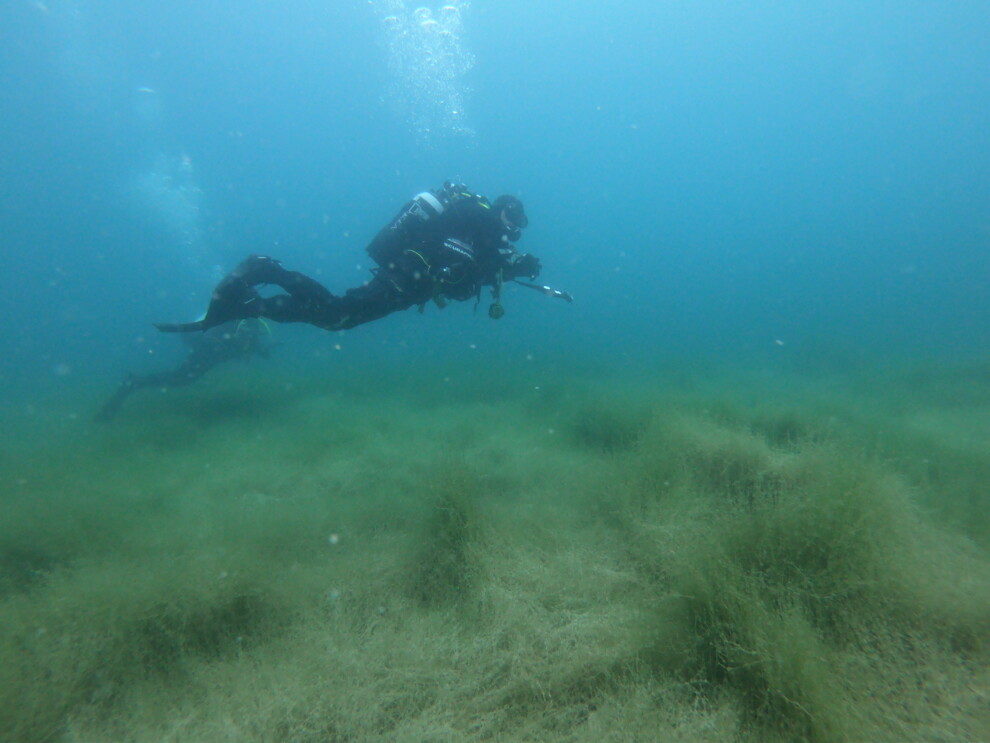 20230424_Technischer Einsatz Harrbergsee Scheffau  17 